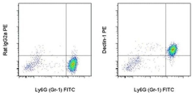 CD369 (Clec7a, Dectin-1) Antibody in Flow Cytometry (Flow)