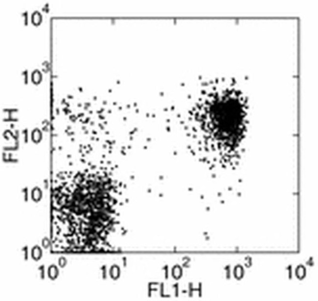 CD314 (NKG2D) Antibody in Flow Cytometry (Flow)