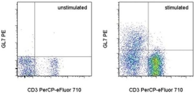 GL7 Antibody in Flow Cytometry (Flow)