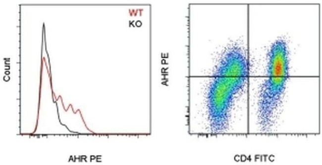 AHR Antibody in Flow Cytometry (Flow)