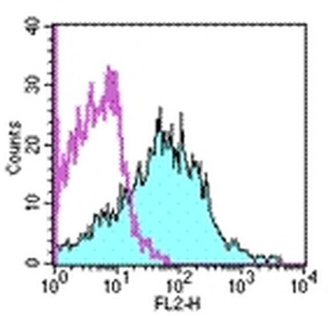 CD107b (LAMP-2) Antibody in Flow Cytometry (Flow)