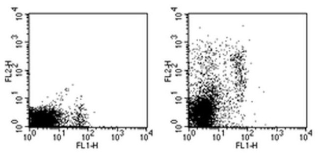 Ly-49C/I/F/H Antibody in Flow Cytometry (Flow)