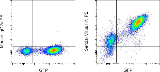 Sendai virus HN Antibody in Flow Cytometry (Flow)