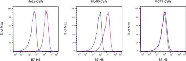 B7-H6 Antibody