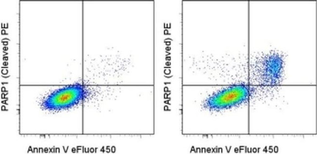 PARP1 (cleaved Asp214) Antibody in Flow Cytometry (Flow)