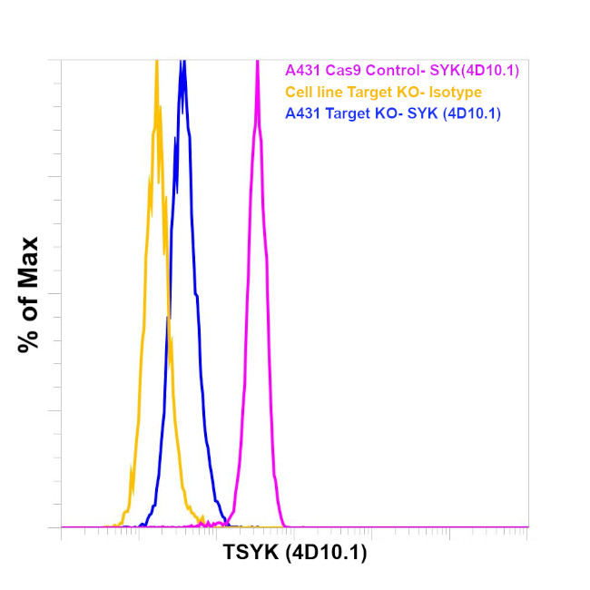 Syk Antibody