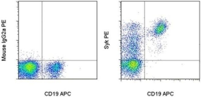 Syk Antibody in Flow Cytometry (Flow)