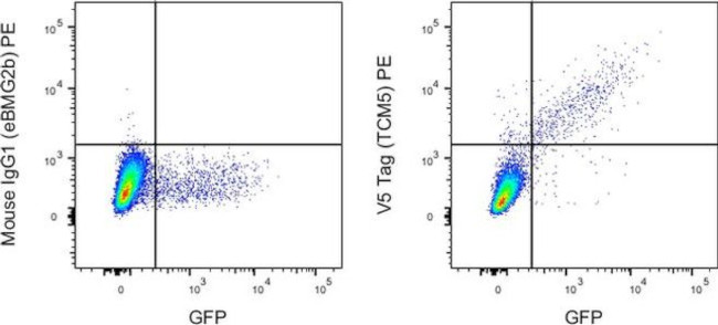 V5 Tag Antibody in Flow Cytometry (Flow)