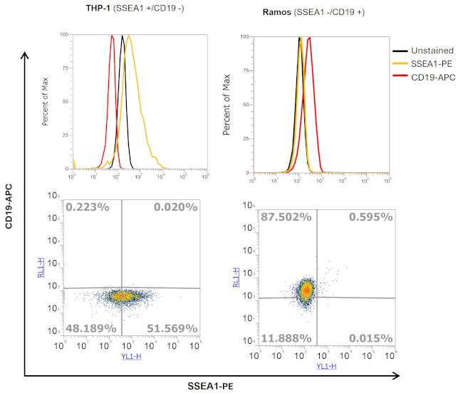 SSEA1 Antibody in Flow Cytometry (Flow)