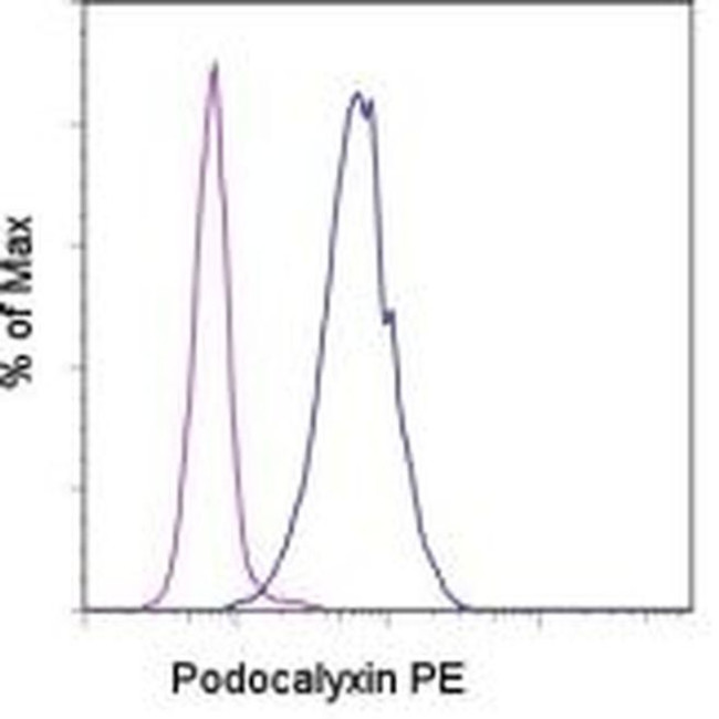 Podocalyxin Antibody in Flow Cytometry (Flow)