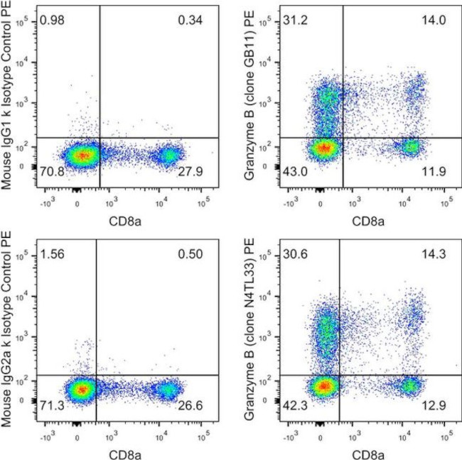 Granzyme B Antibody