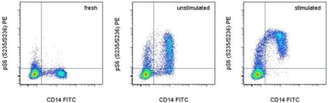 Phospho-S6 (Ser235, Ser236) Antibody in Flow Cytometry (Flow)