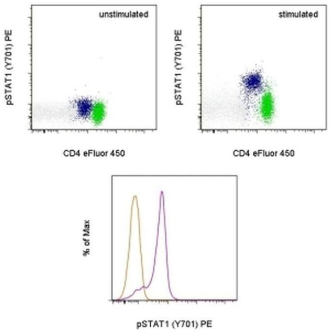 Phospho-STAT1 (Tyr701) Antibody in Flow Cytometry (Flow)