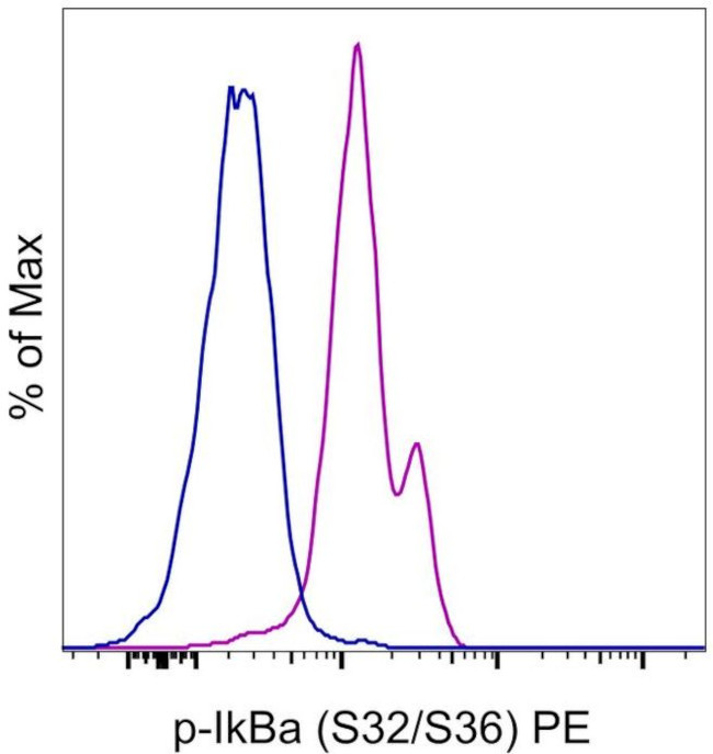 Phospho-IkB alpha (Ser32, Ser36) Antibody in Flow Cytometry (Flow)