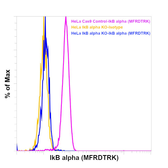 IkB alpha Antibody