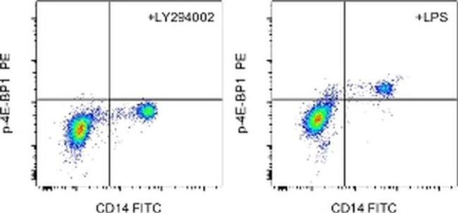 Phospho-4EBP1 (Thr36, Thr45) Antibody in Flow Cytometry (Flow)