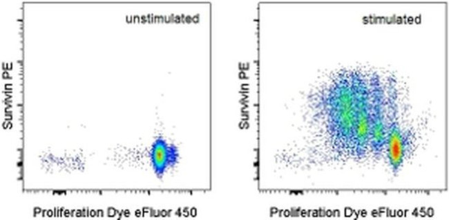 Survivin Antibody in Flow Cytometry (Flow)