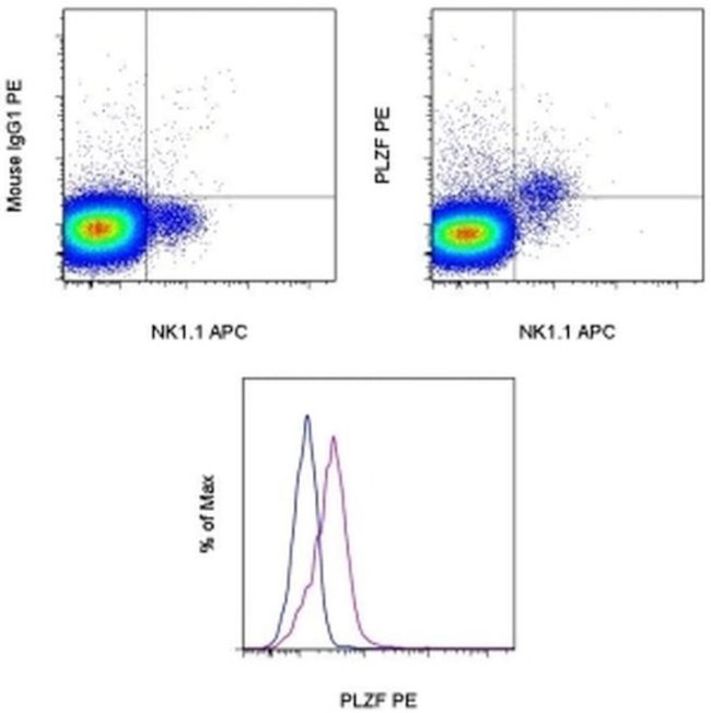 PLZF Antibody in Flow Cytometry (Flow)