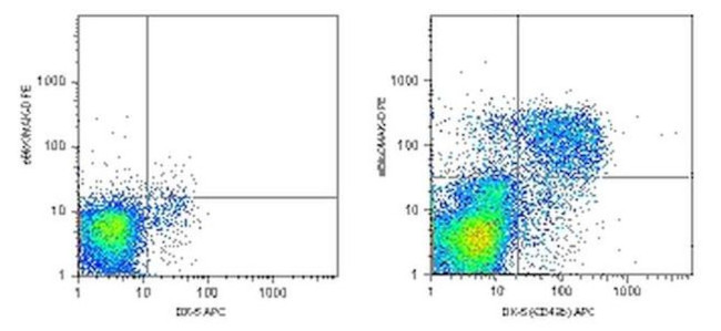 Perforin Antibody in Flow Cytometry (Flow)