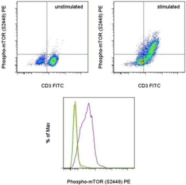 Phospho-mTOR (Ser2448) Antibody in Flow Cytometry (Flow)