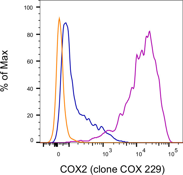 COX2 Antibody