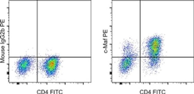 c-MAF Antibody in Flow Cytometry (Flow)