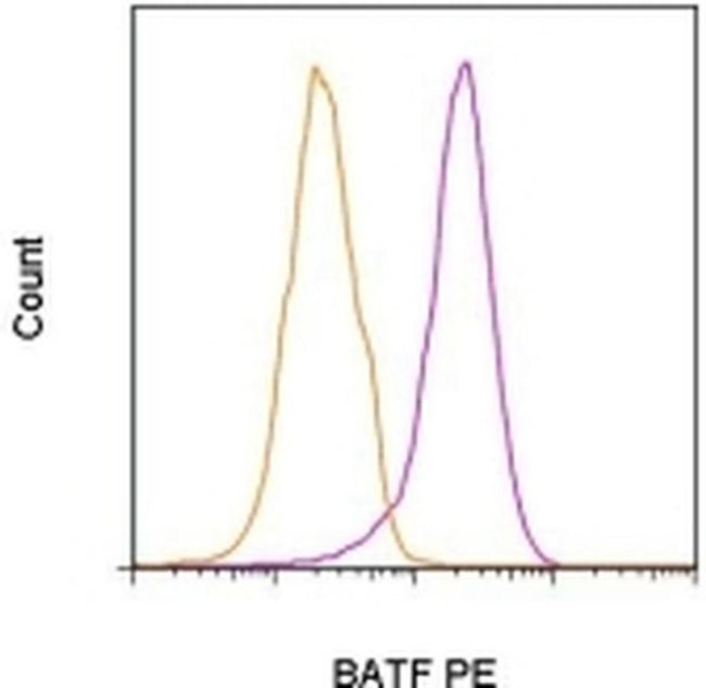 BATF Antibody in Flow Cytometry (Flow)