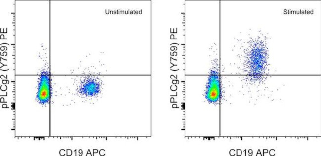 Phospho-PLCG2 (Tyr759) Antibody in Flow Cytometry (Flow)