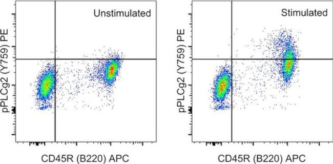 Phospho-PLCG2 (Tyr759) Antibody in Flow Cytometry (Flow)