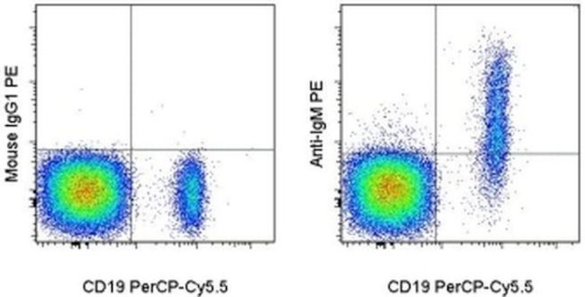 IgM Antibody in Flow Cytometry (Flow)