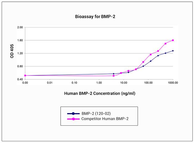 Human/Mouse/Rat BMP-2 Protein in Functional Assay (FN)
