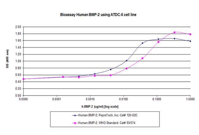 Human/Mouse/Rat BMP-2 Protein in Functional Assay (Functional)