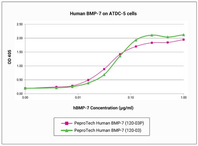 Human BMP-7 Protein in Functional Assay (FN)