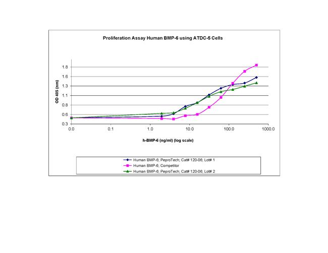 Human BMP-6 Protein in Functional Assay (FN)