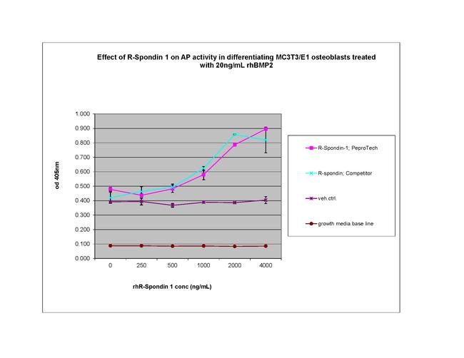 Human R-Spondin 1 Protein in Functional Assay (FN)