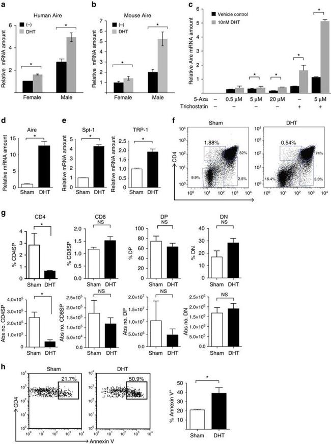 CD4 Antibody