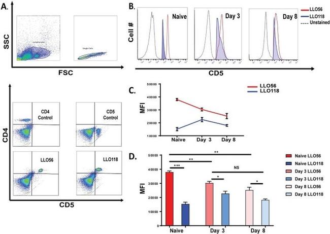 CD5 Antibody in Flow Cytometry (Flow)