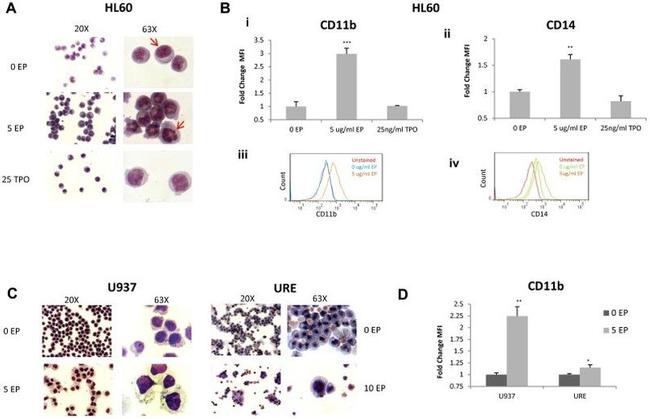 CD14 Antibody in Flow Cytometry (Flow)