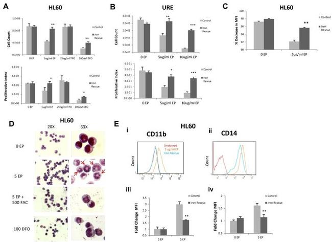 CD14 Antibody in Flow Cytometry (Flow)