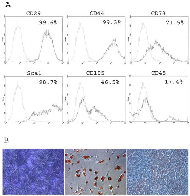 CD29 (Integrin beta 1) Antibody in Flow Cytometry (Flow)