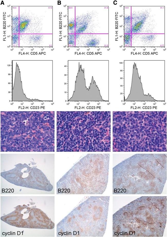 CD23 Antibody in Flow Cytometry (Flow)