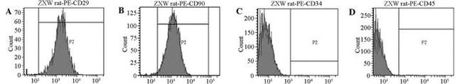 CD90.1 (Thy-1.1) Antibody in Flow Cytometry (Flow)