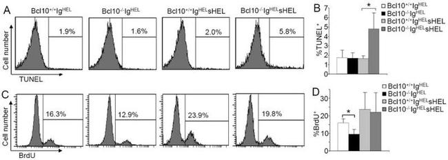 CD45R (B220) Antibody in Flow Cytometry (Flow)