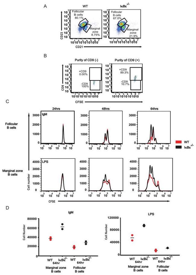 CD9 Antibody in Flow Cytometry (Flow)