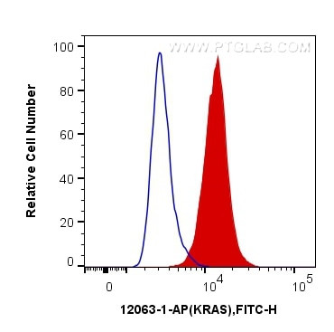 KRAS Antibody in Flow Cytometry (Flow)