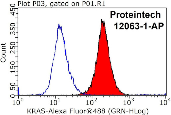 KRAS Antibody in Flow Cytometry (Flow)