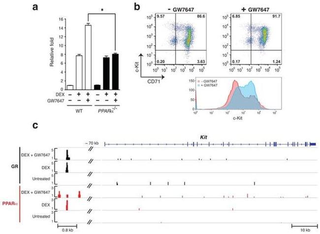 CD71 (Transferrin Receptor) Antibody in Flow Cytometry (Flow)