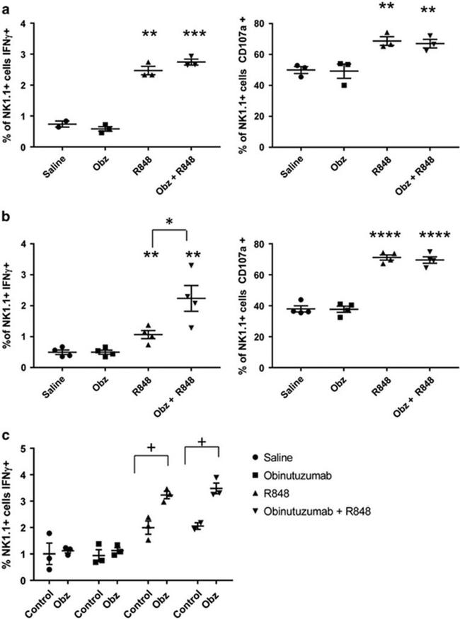 CD107a (LAMP-1) Antibody in Flow Cytometry (Flow)