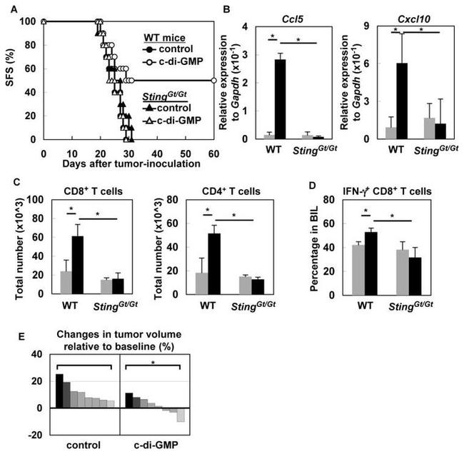 CD119 (IFN gamma Receptor 1) Antibody in Flow Cytometry (Flow)