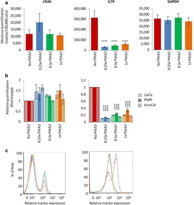 CD40 Antibody